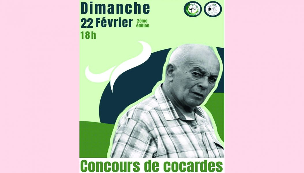 Courses de vaches : concours de cocarde