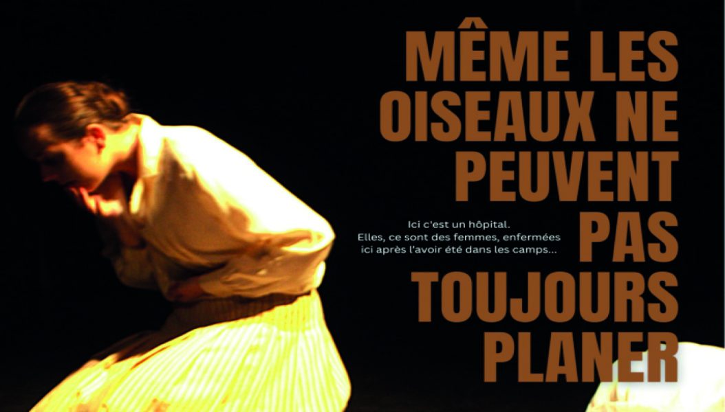 “Txoriek ere ezin dute beti planeatu” ikusgarria