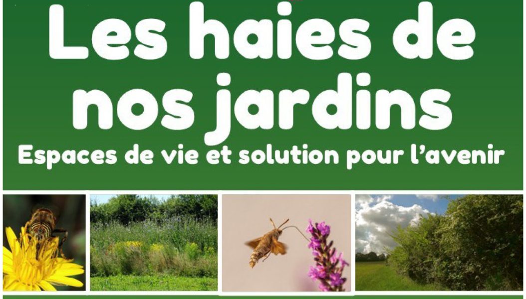 Les haies de nos jardins